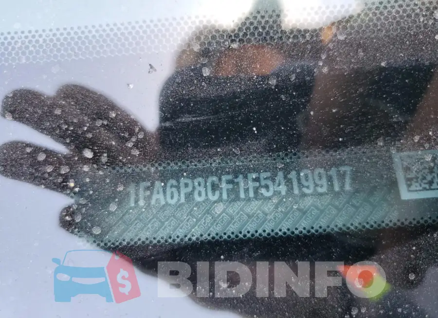 1FA6P8CF1F5419917 Photo# 12