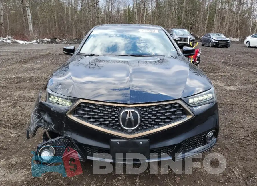 19UUB3F80KA801486 Photo# 5