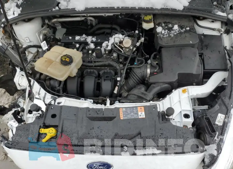 1FADP3K22HL207552 Photo# 11