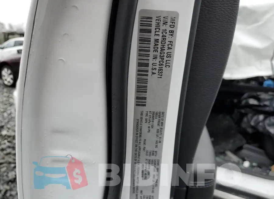 1C4RDHAG3PC616371 Photo# 12