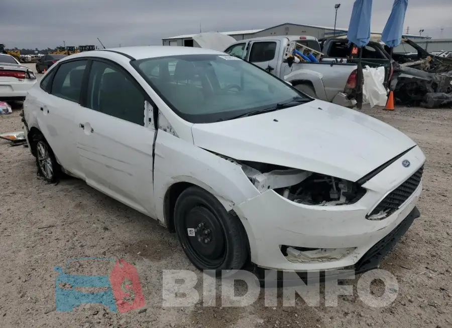 1FADP3F29GL244980 Photo# 4