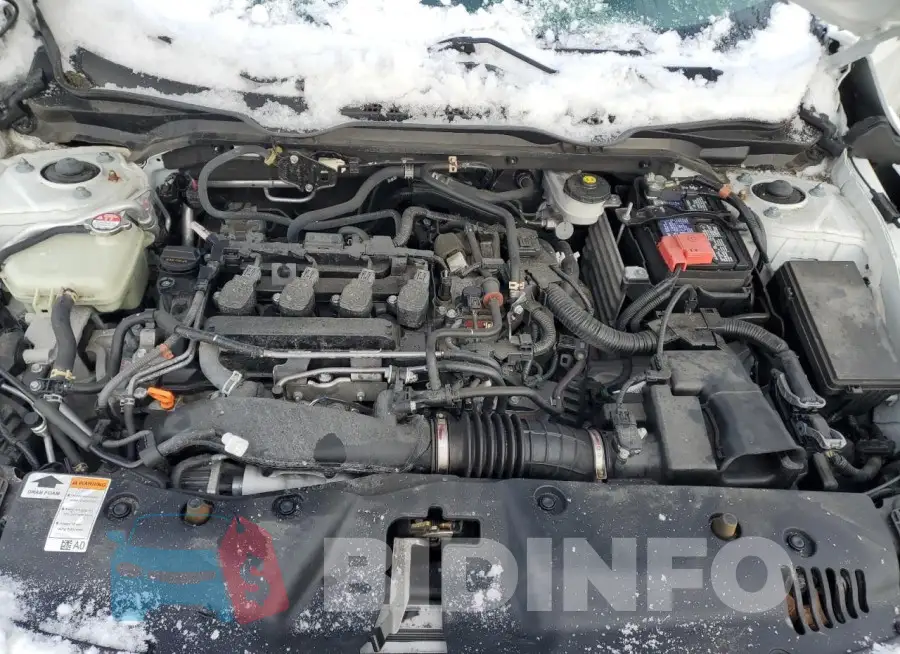 19XFC1F33LE221449 Photo# 11