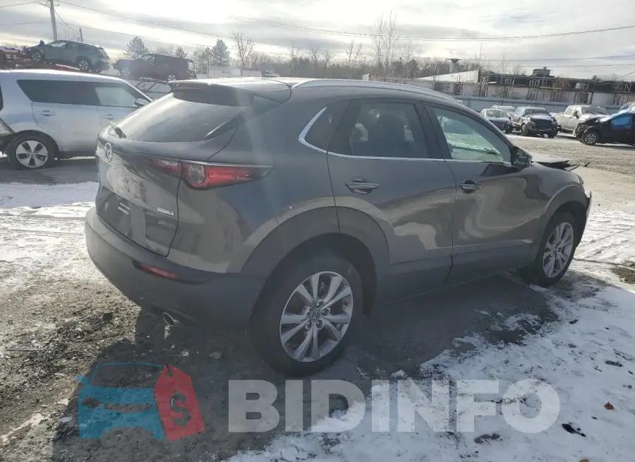 3MVDMBDL0MM212517 Photo# 3