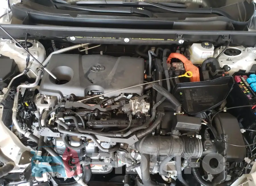 JTMRWRFV7PD204584 Photo# 11