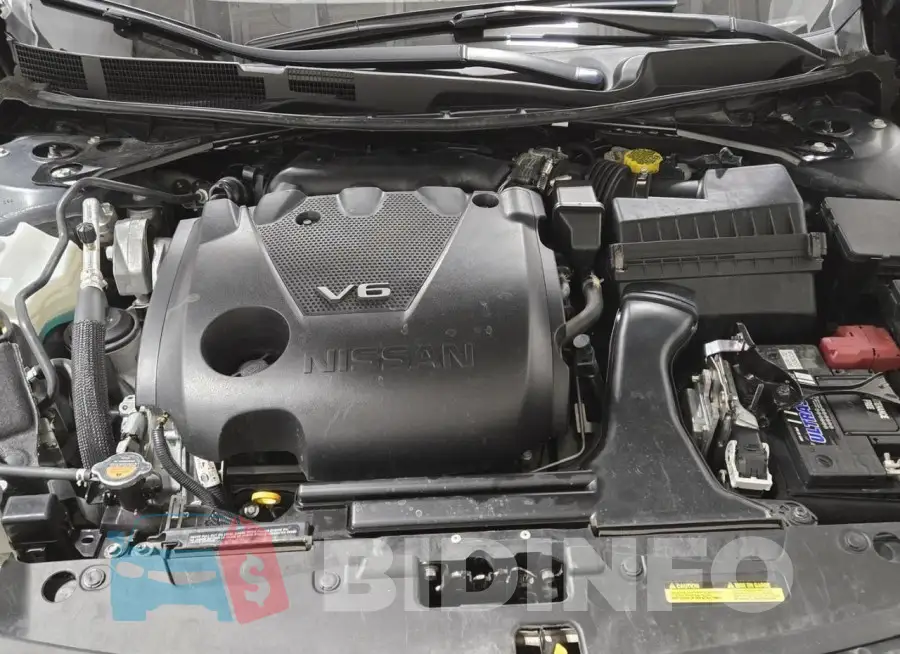 1N4AA6CV6PC508516 Photo# 7
