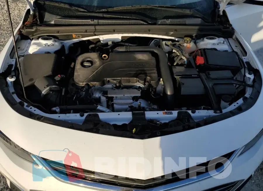 1G1ZD5ST5JF291845 Photo# 11