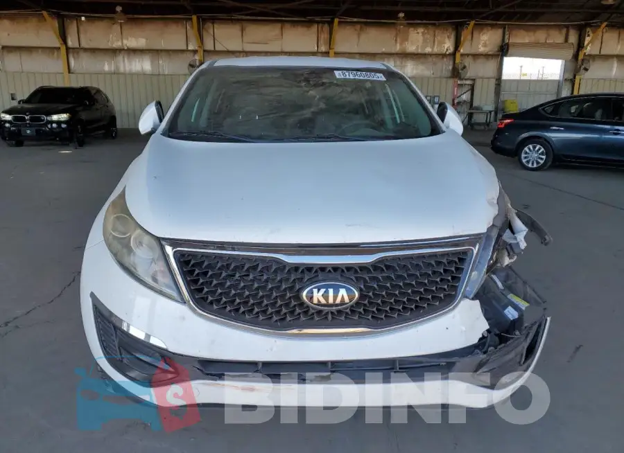 KNDPB3AC5G7811703 Photo# 5
