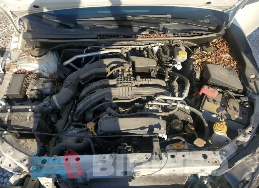 JF2GTAEC1L8251213 Photo# 12
