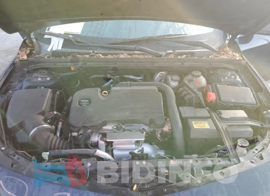 1G1ZB5ST8HF177502 Photo# 11