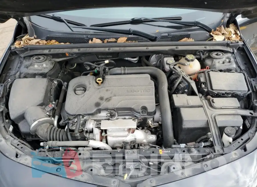 1G1ZD5ST8LF065432 Photo# 11