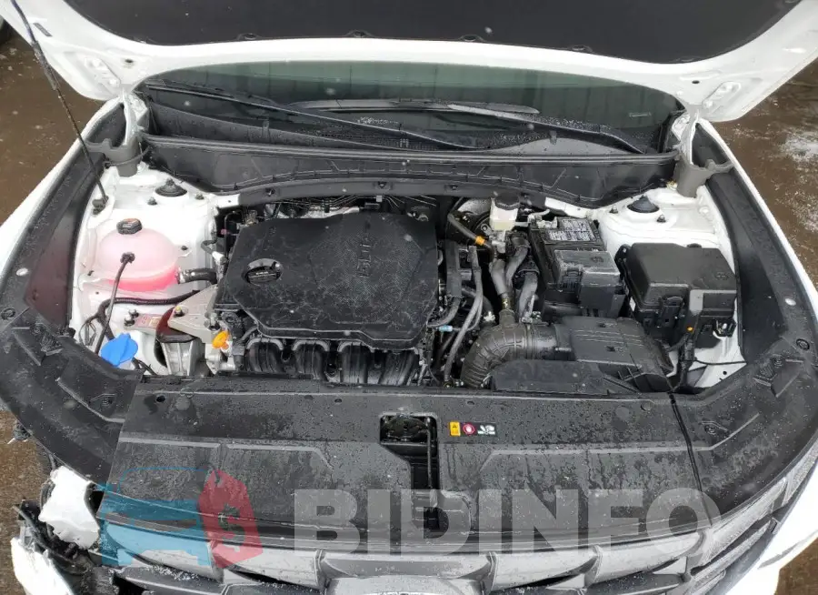 5NMJBCDE2RH406932 Photo# 12