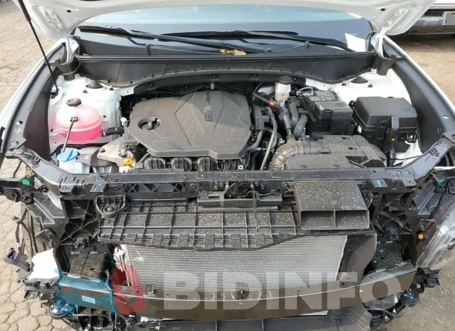 5NMJFCAE4PH250334 Photo# 11