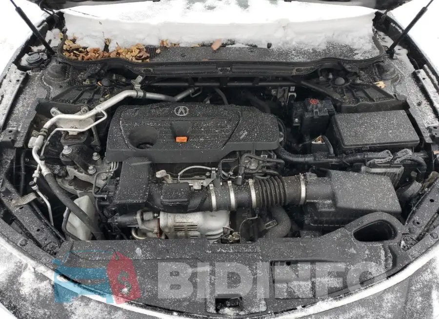 19UUB6F54MA800576 Photo# 11