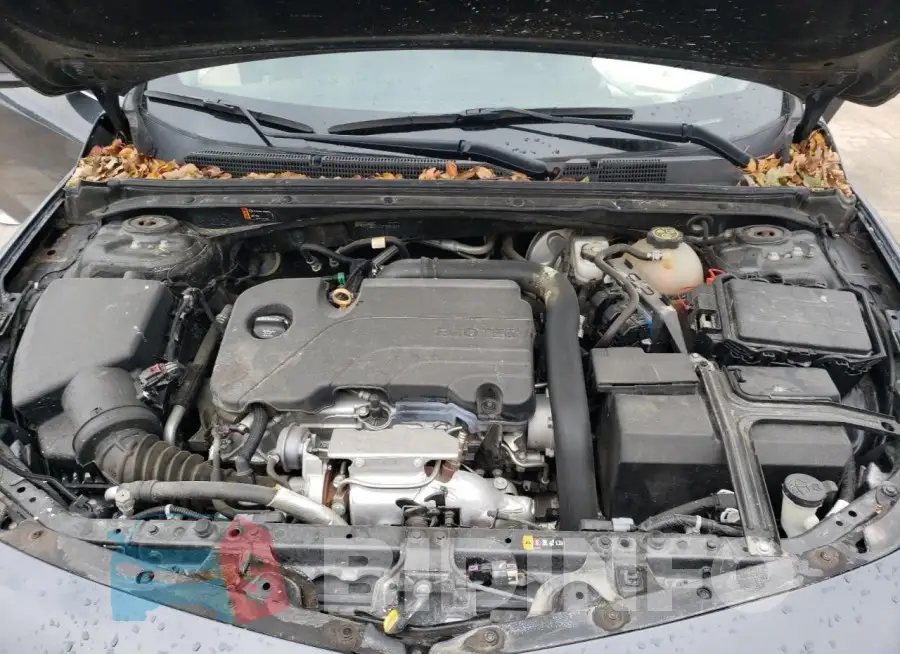 1G1ZB5ST2JF202383 Photo# 11