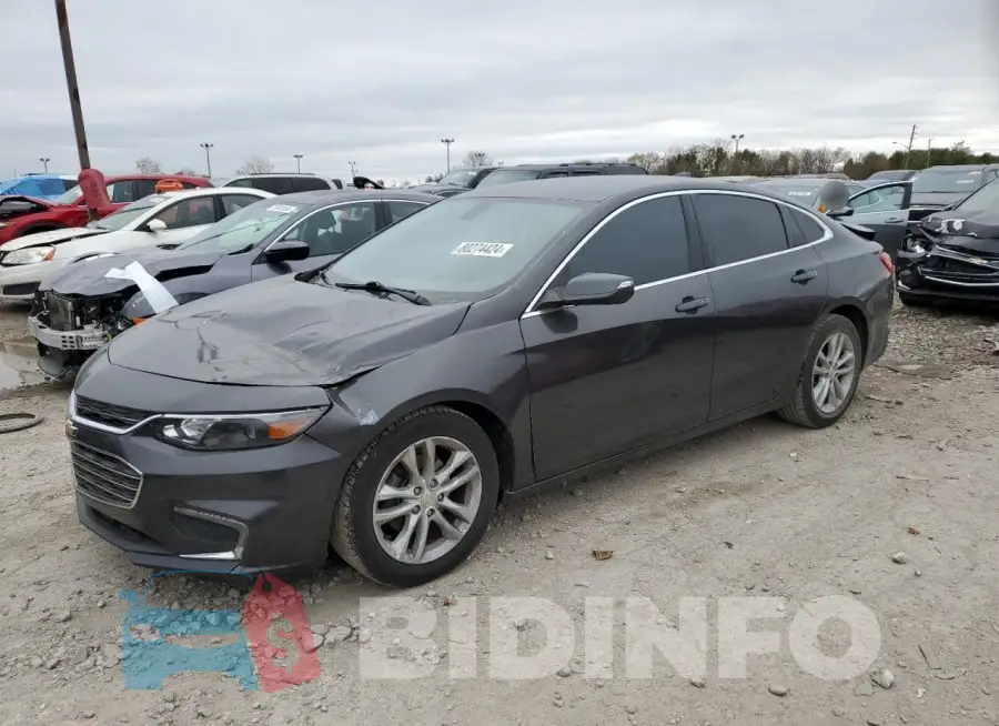 1G1ZD5ST1JF216981 Photo# 1