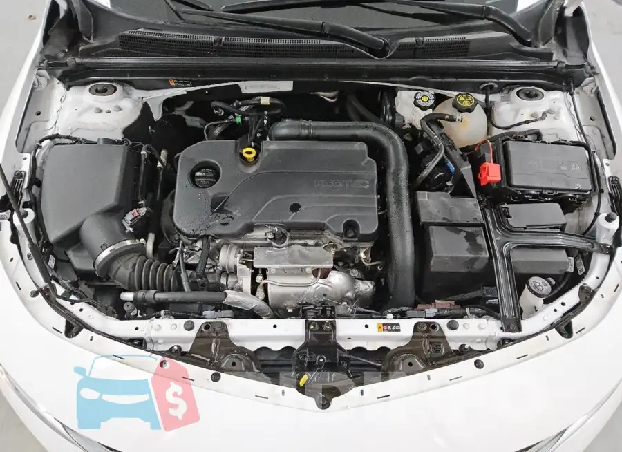 1G1ZD5ST4PF192510 Photo# 11