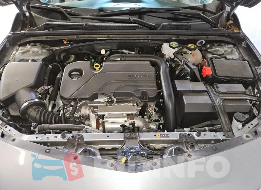 1G1ZD5ST7RF127718 Photo# 11