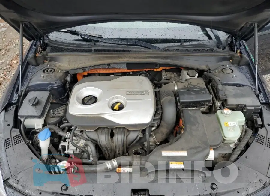 KNAGV4LD4H5010421 Photo# 11