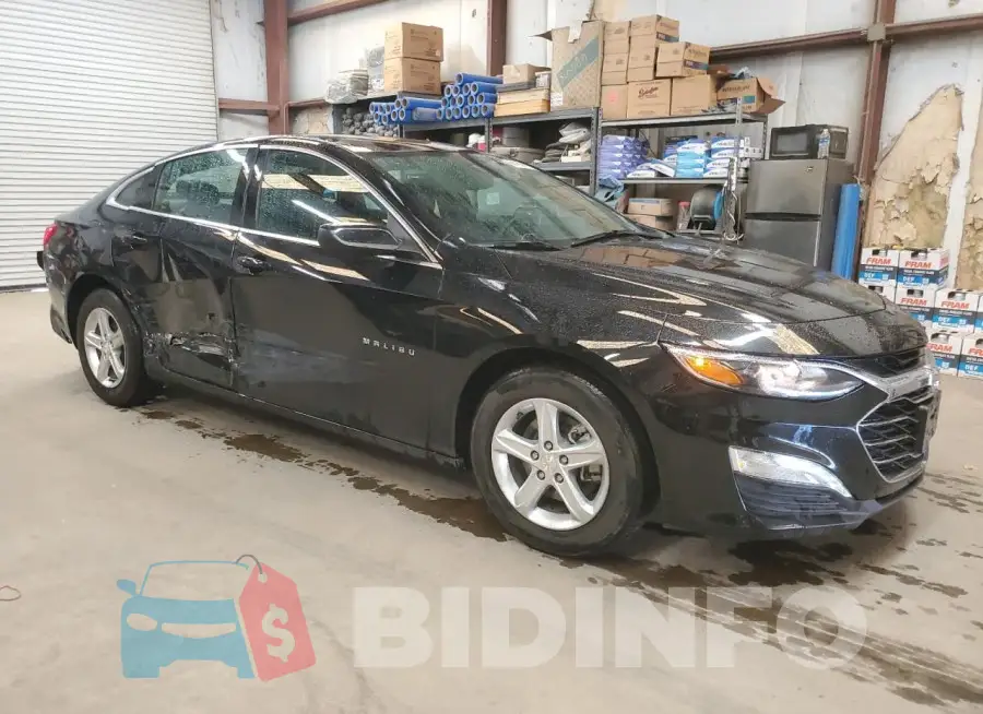 1G1ZD5ST3RF166113 Photo# 4