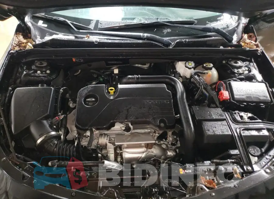 1G1ZD5ST3RF211101 Photo# 11