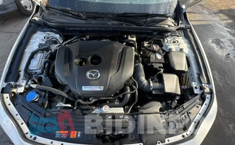 3MZBPBEY8MM252013 Photo# 7