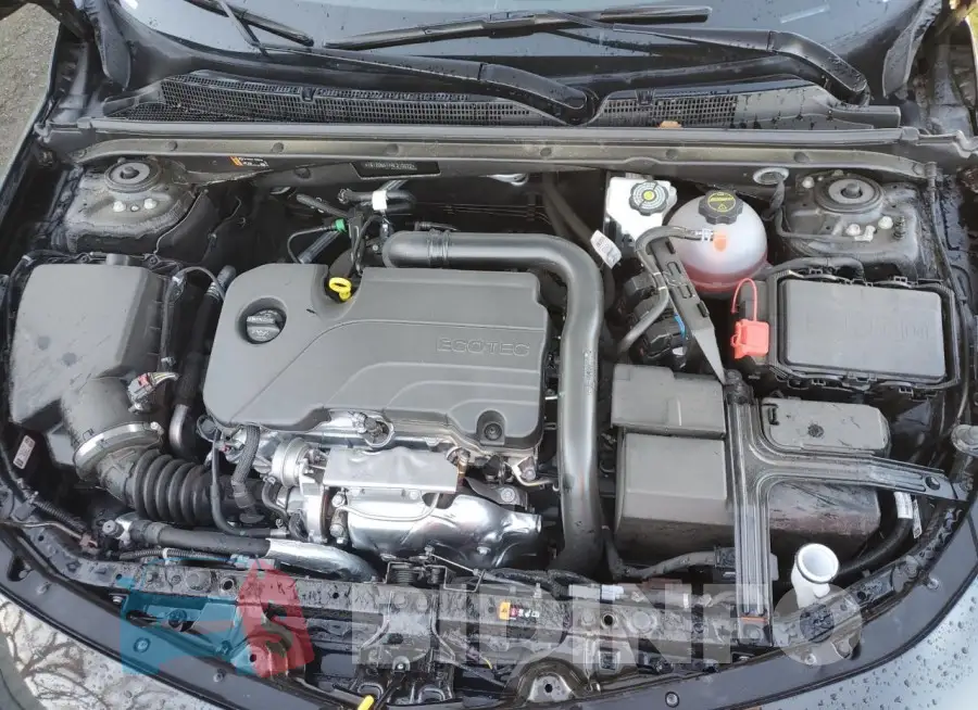 1G1ZD5ST4RF210622 Photo# 11