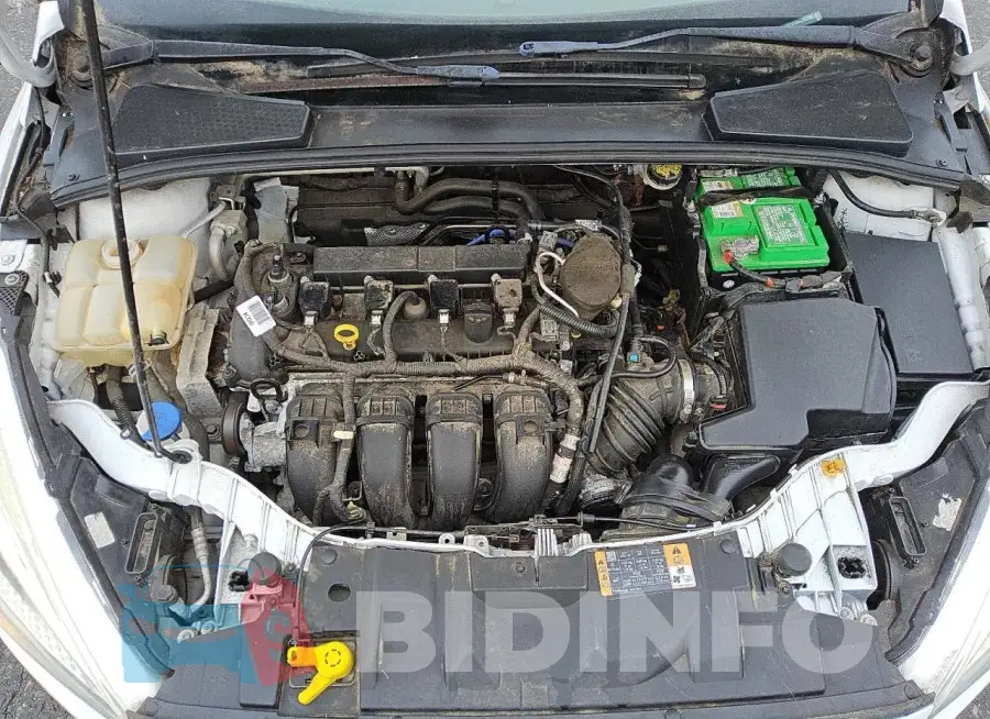 1FADP3E29GL298295 Photo# 11