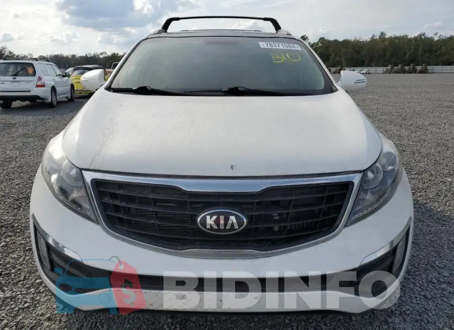 KNDPC3A61G7828232 Photo# 5