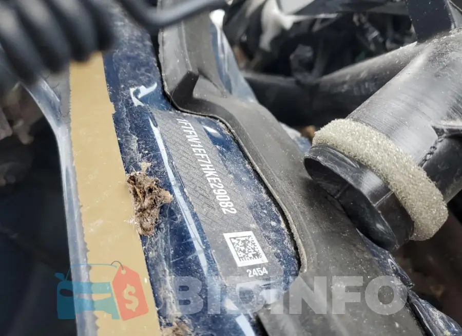 1FTFW1EF7HKE29082 Photo# 12
