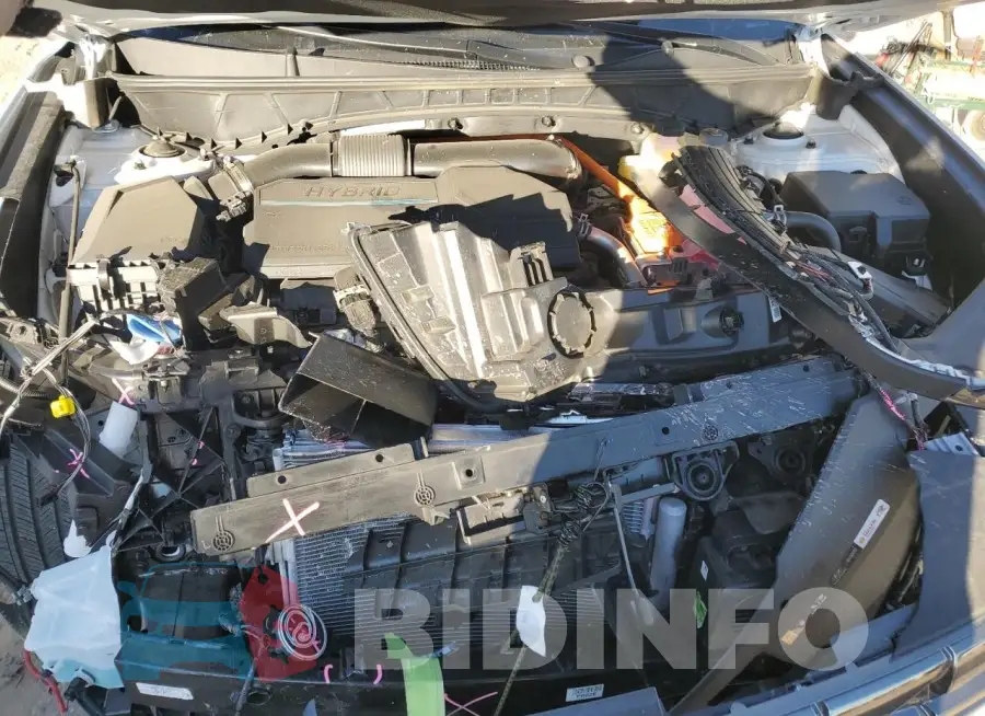 KM8JECD14RU222195 Photo# 12