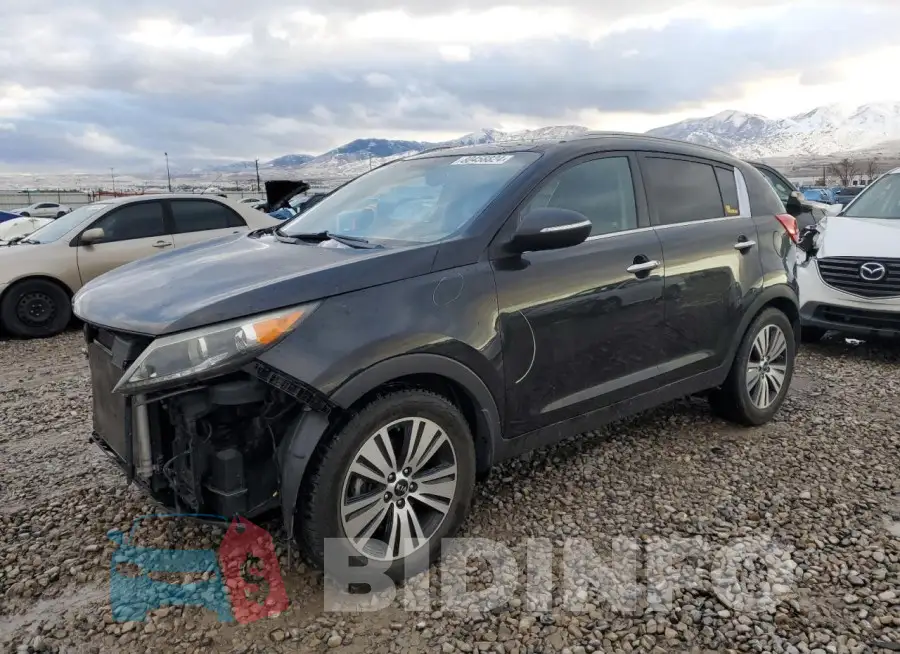KNDPC3ACXG7817915 Photo# 1