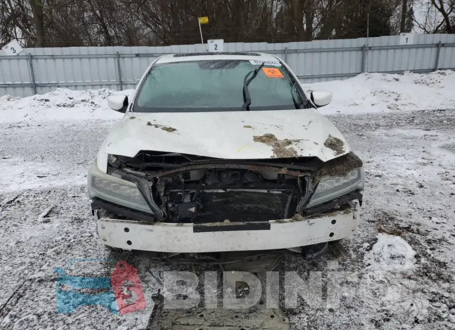 19UDE2F77GA800223 Photo# 5