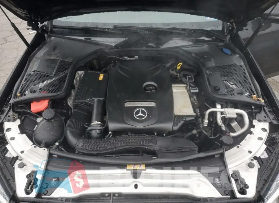 WDDWJ4KB3JF713136 Photo# 11