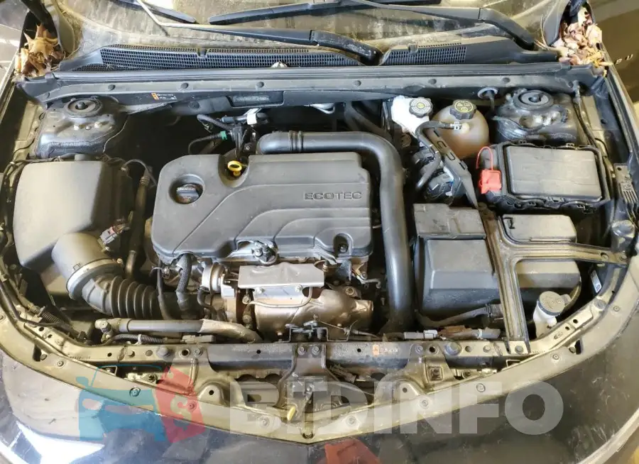 1G1ZD5ST1PF216987 Photo# 11