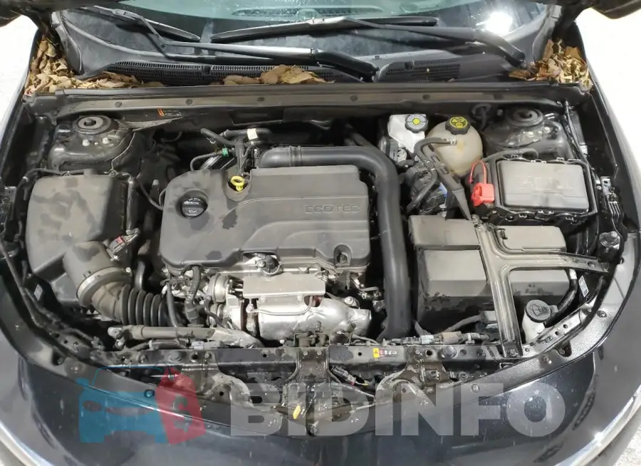 1G1ZD5ST7PF251002 Photo# 11