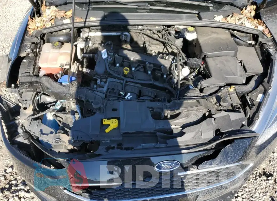 1FADP3F2XJL257261 Photo# 11