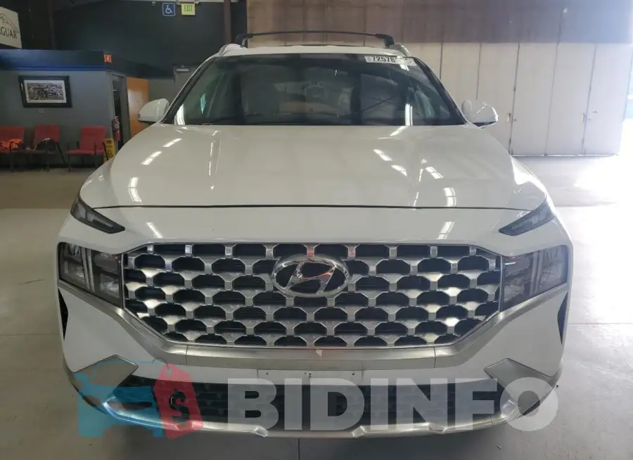 5NMS6DAJXMH371100 Photo# 5