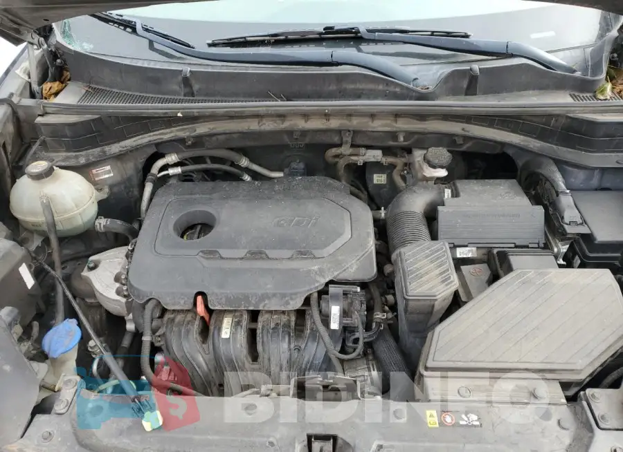 KNDPN3AC2J7479136 Photo# 12