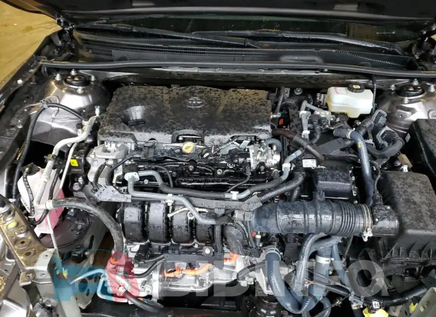 4T1C31AK5MU027540 Photo# 11