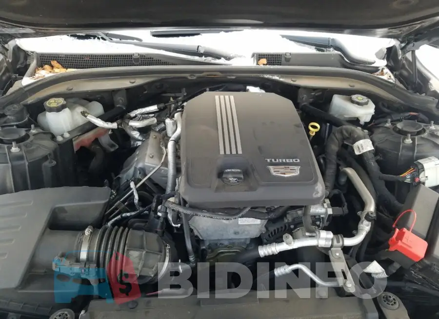 1G6DT5RK5N0135897 Photo# 11