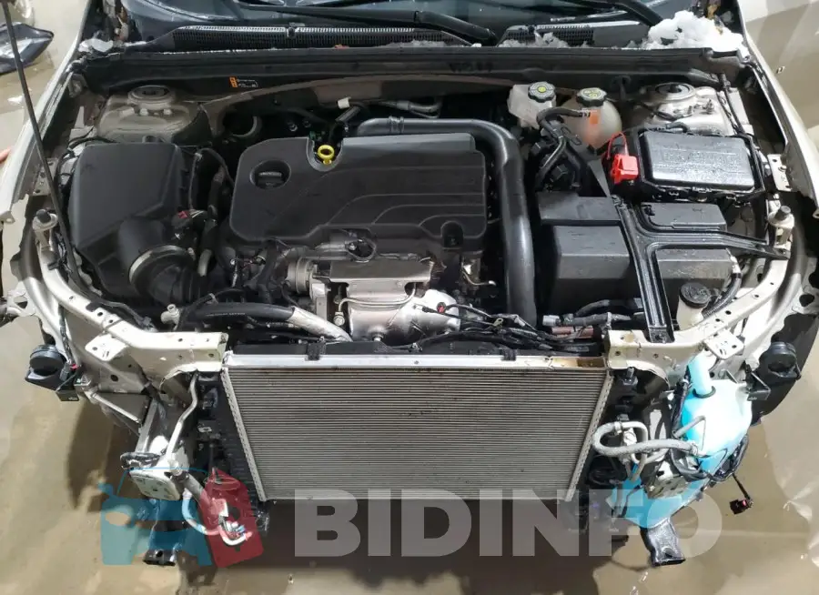 1G1ZD5ST7RF168687 Photo# 11