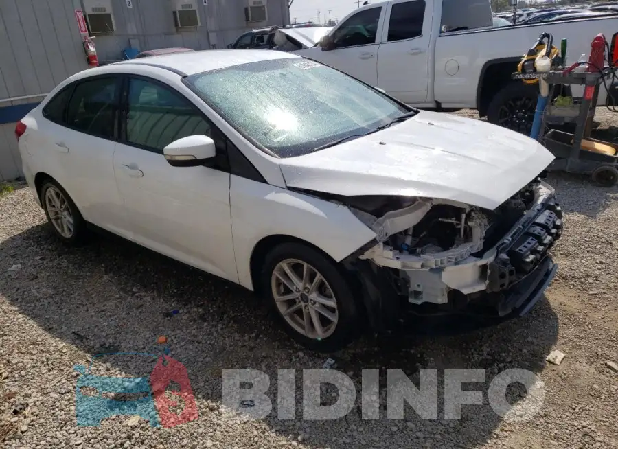 1FADP3F2XGL399201 Photo# 4
