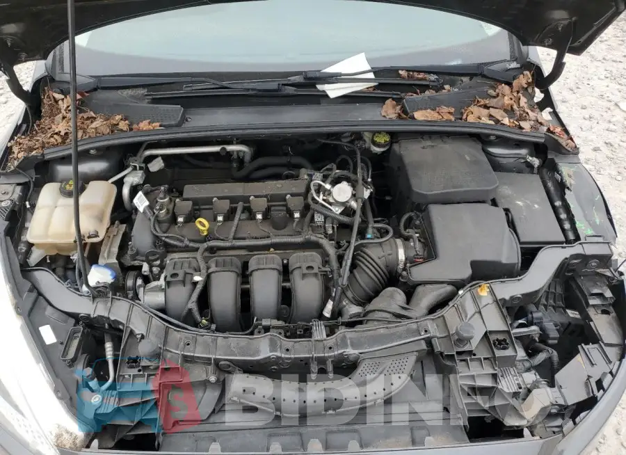 1FADP3E22GL355257 Photo# 11