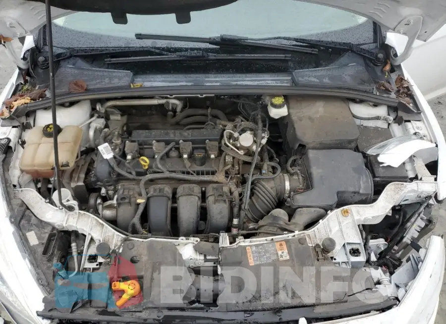 1FADP3F21HL206841 Photo# 11