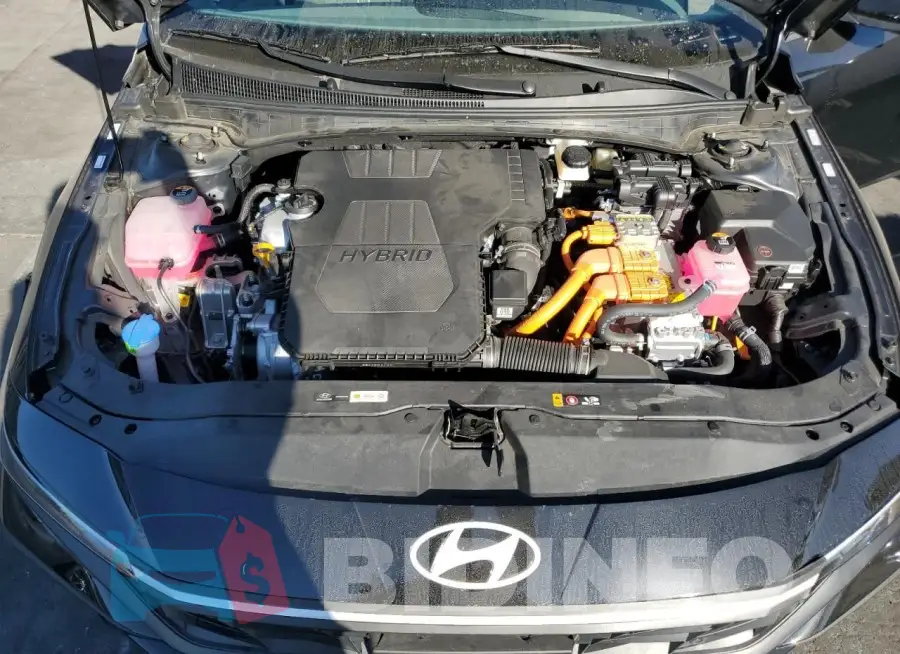KMHLM4DJ6RU111004 Photo# 11