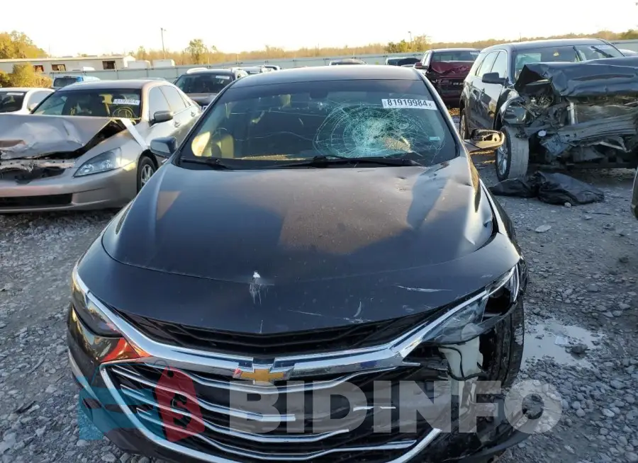 1G1ZD5ST1KF164902 Photo# 5
