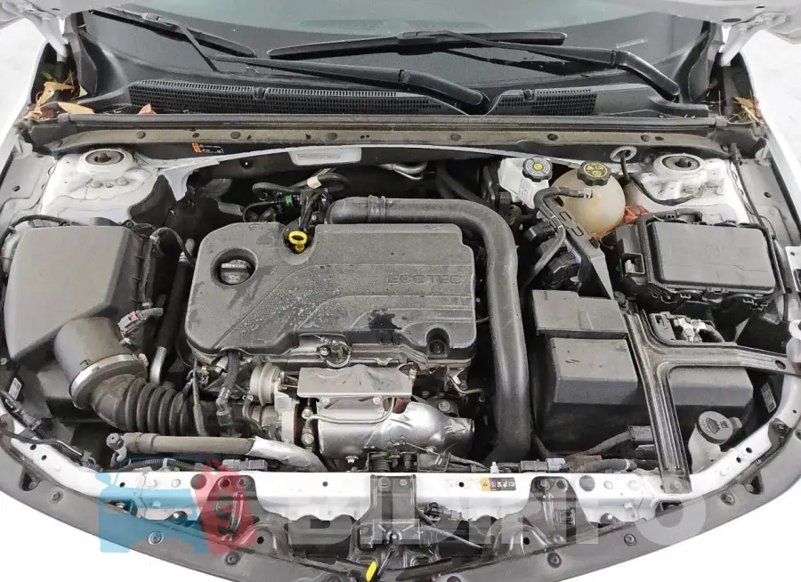 1G1ZD5ST5PF209329 Photo# 11