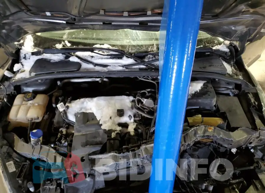 1FADP3F24HL228994 Photo# 11