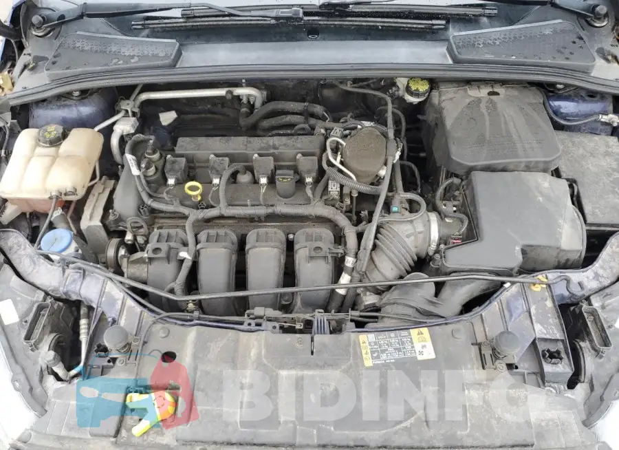 1FADP3F29GL315109 Photo# 11