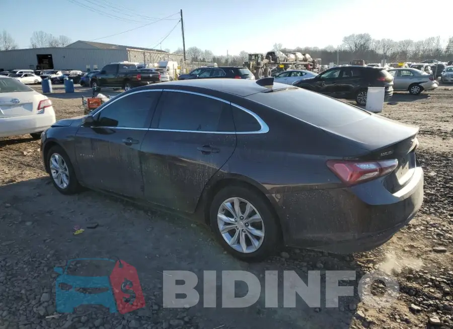 1G1ZD5ST5LF053254 Photo# 2